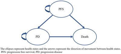 The cost-effectiveness analysis of serplulimab versus regorafenib for treating previously treated unresectable or metastatic microsatellite instability-high or deficient mismatch repair colorectal cancer in China